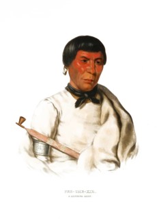 American Indian, Native American, Pee-Che-Kir, Chief of the Chippewa tribe, United States of