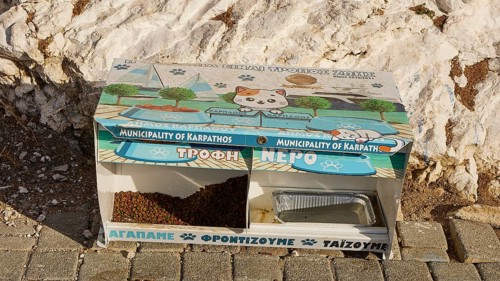 Food and water station for cats with decorative motifs, embedded in a sunny, stony environment,