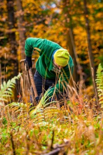 A man in work clothes bends down to work among autumn plants, tree planting campaign, Waldbike