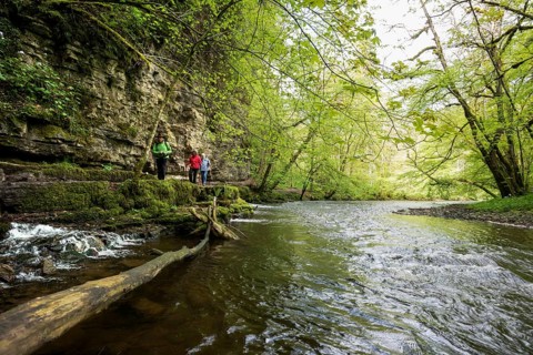 Hiking trail by the river, Wutach Gorge, Bonndorf, Baden-Württemberg, Black Forest, Germany, Europe