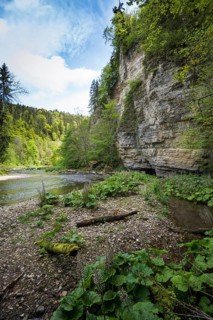 Steep cliffs and river, Wutach Gorge, Bonndorf, Baden-Württemberg, Black Forest, Germany, Europe