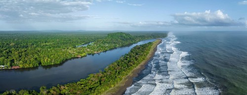 Aerial view, beach and sea, coast with rainforest, Tortuguero National Park, Costa Rica, Central