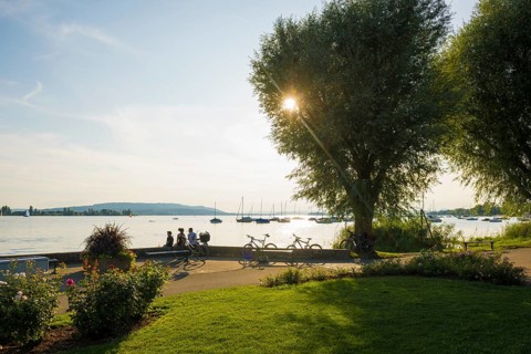 Cyclist, lakeside promenade, Friedrichshafen, Lake Constance, Baden-Württemberg, Germany, Europe