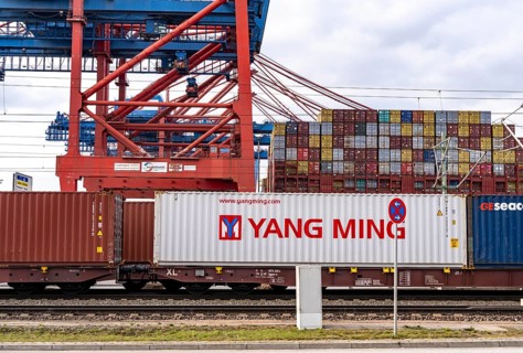 Port of Hamburg, Waltershofer Hafen, container ships, goods train brings and collects freight
