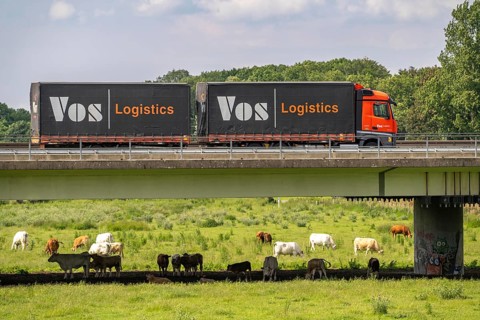 Lorry on the A40 motorway, bridge over the Ruhr and Styrumer Ruhrauen, herd of cattle, dairy cows