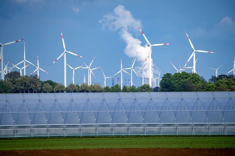 Agriculture, large areas with foil tunnels, for growing strawberries, south of Lövenich, belongs to