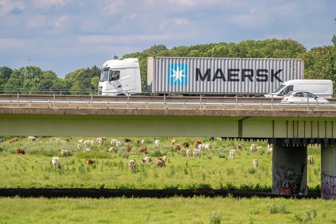 Container lorry on the A40 motorway, bridge over the Ruhr and Styrumer Ruhrauen, herd of cattle,