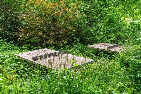 Lost Places, old table tennis table on an abandoned, closed playground, overgrown and surrounded by