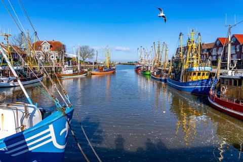Cutter harbour Neuharlingersiel, Lower Saxony, Germany, Europe