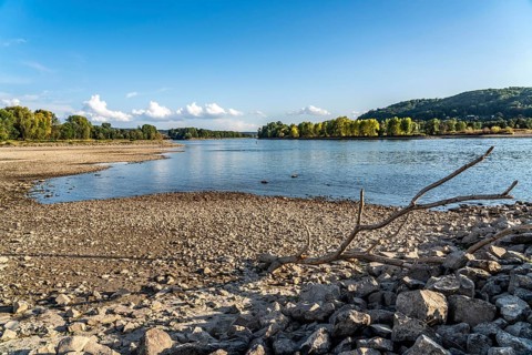 The Rhine at extremely low water, near Bad Honnef Rhöndorf, below the Drachenfels, Nonnenwerth