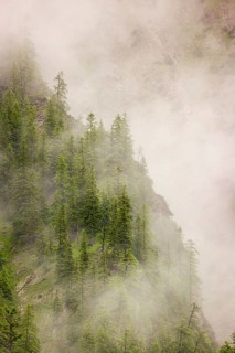 Wisps of mist cover the Karwendel mountains in the Großer Ahornboden nature reserve, Eng Valley,