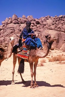 Taureg man riding camel leading camel train, Tassili N'Ajjer National Park, Sahara desert, Algeria,