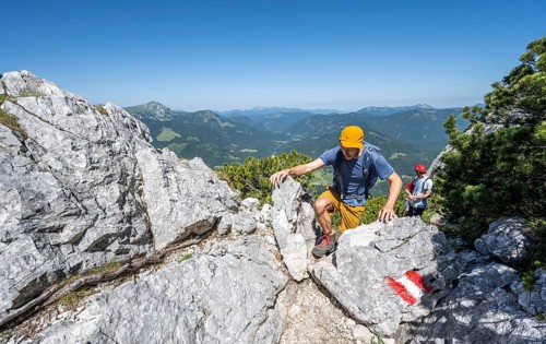 Mountaineer on a hiking trail between mountain pines, mountaineer climbing the Hochunnütz, Unnütz