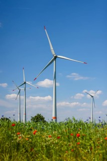 Lichtenau, North Rhine-Westphalia, Germany, wind farm in agricultural landscape, flower strips in