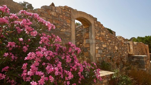 Colourful flower bush next to an ancient stone archway under the summer sun, Venetian Sea Fortress,
