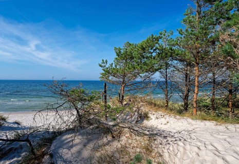 Dune landscape on the Polish Baltic coast in the Slowinski National Park, part of the UNESCO