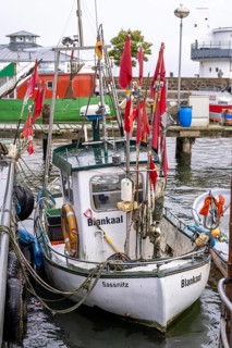 Fishing boats in the town harbour of Sassnitz, island of Rügen, Mecklenburg-Vorpommern, Germany,
