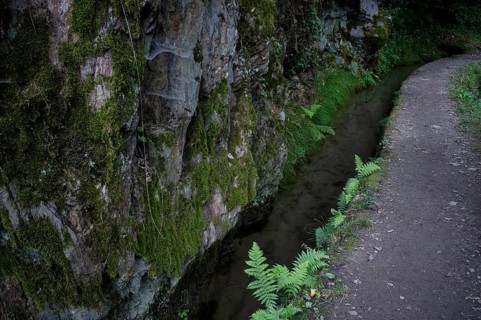 Hiking trail, Maiser Waalweg, stream, long exposure, Schenna, Scena, South Tyrol, Autonomous