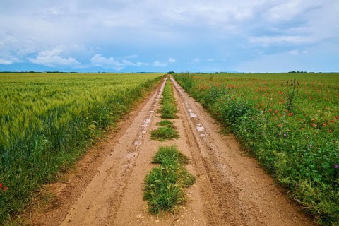 A rural country lane between green fields under a cloudy sky after a rain shower, summer,