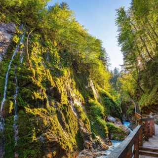 A sun-drenched plank path next to a moss-covered rock with a waterfall in the background,
