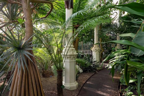 Exotic plants and cast iron columns in a lush tropical garden with light and shade effect, historic