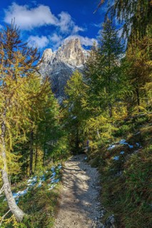 Mountain path of the Sella Group Mountain landscape in the Alps with trees and snow-covered