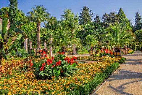 Palm garden in the historic spa gardens, the largest outdoor palm garden north of the Alps, Bad