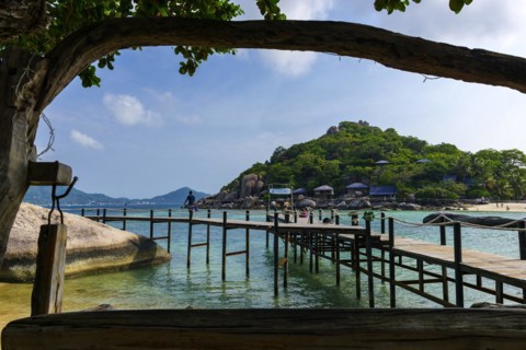 Wooden jetty at the entrance area of Nang Yuan Island, island, holiday island, tropical, tropics,