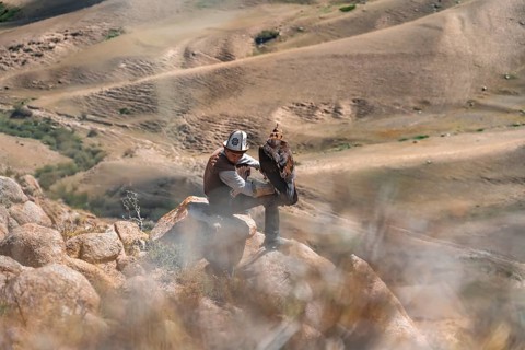 Traditional Kyrgyz eagle hunter hunting in the mountains in a dry landscape, near Kysyl-Suu, Issyk
