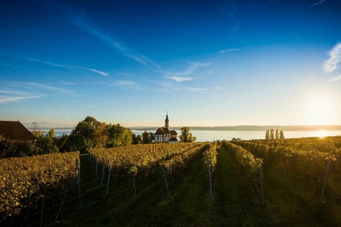 Pilgrimage church Birnau with vineyards in autumn, sunset, Uhldingen-Mühlhofen, Lake Constance,