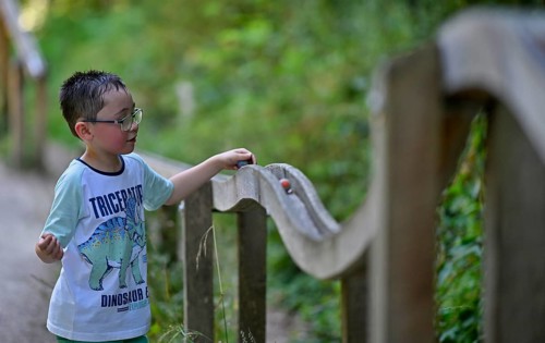 Child, boy aged 5, multi-ethnic, playing with marbles on XXL marble run, NATURATUM adventure forest