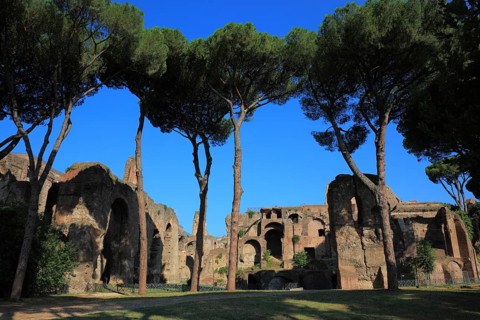 Ruins on Monte Palation, Palatine Hill, Rome, Italy, Europe