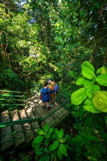 Tourist on the way in the rainforest to Cerro Tortuguero, Tortuguero National Park, Costa Rica,