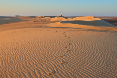 Footprints lead through a vast desert landscape with undulating sand dunes at sunset, Matruh, Great
