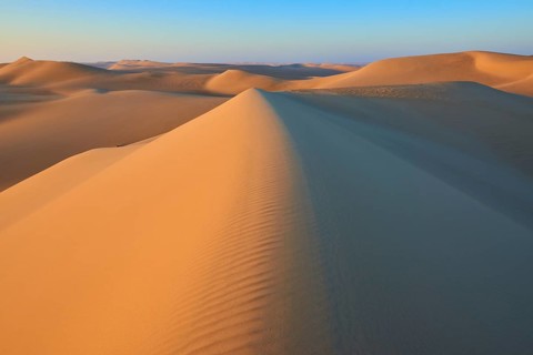 Endless sand dune landscape at sunset with golden sand and blue sky, Matruh, Great Sand Sea, Libyan