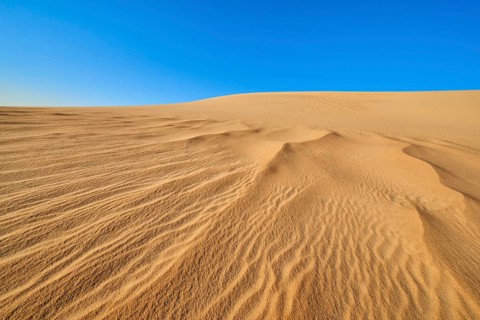 Wide sand dunes under a blue sky in the desert, Matruh, Great Sand Sea, Libyan Desert, Sahara,