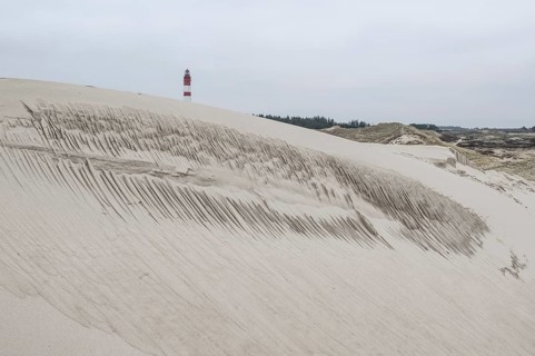 Dune landscape with lighthouse, Süddorf, Amrum, Schleswig-Holstein, Germany, Europe