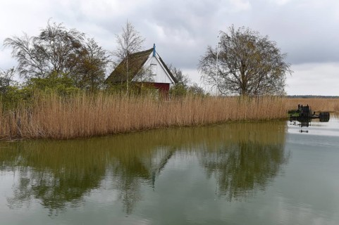 Small house in the reeds of the Darßer Bodden, Saaler Bodden, Mecklenburg-Vorpommern, Germany,