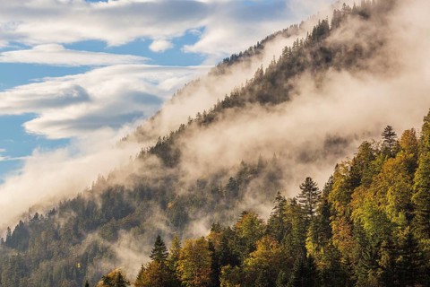 Isar valley nature conservancy area. The wild Isar river flows through its gravel bed past