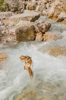 The Enger-Grund creek flowing fast through the Eng valley, Tyrol, Austria, Europe