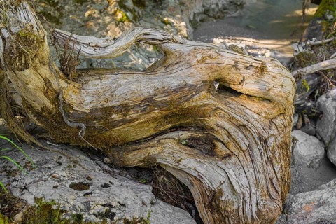 Driftwood, Rissbach creek, Eng valley, stones and flowing water