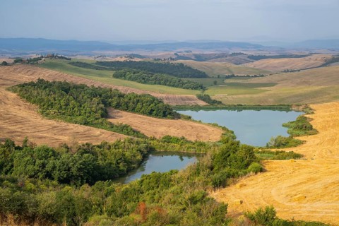 Lake in a typical Tuscan landscape in Crete Senesi with hills, trees and fields in summer, Asciano,