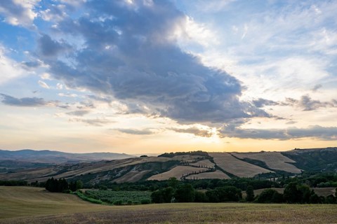 Typical Tuscan landscape in Val d'Orcia with hills, trees, fields, cypresses and farm road in