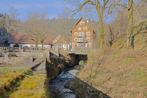 Mossy wall at the Lierbach with building, stream, mossy, monastery Allerheiligen, Oppenau, Northern