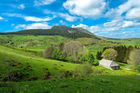 Lush Green Landscape of Mont Mezenc in in the Monts d'Ardeche Regional Natural Park,