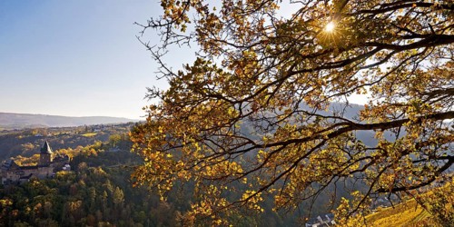 Autumn view of the hilltop castle Burg Stahleck, Bacharach, UNESCO World Heritage Upper Middle