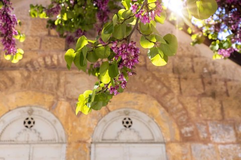 Israel, Jerusalem old narrow streets of Nahlaot historic neighborhood with many small synagogues,