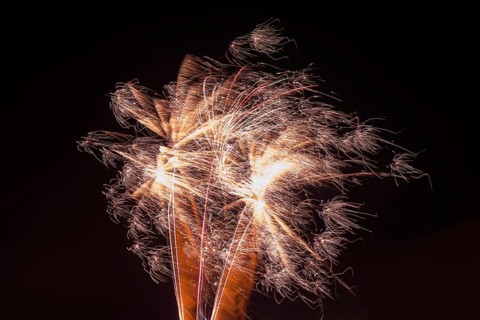 Gold-coloured explosion of fireworks in the dark sky, Lower Saxony, Germany, Europe