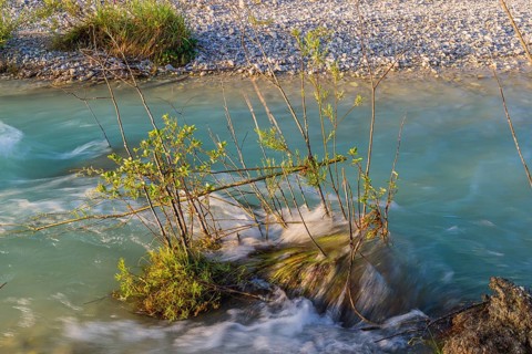 Isar valley nature conservancy area. The wild Isar river flows through its gravel bed past