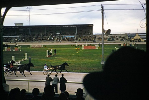 Trotting race in a stadium as part of an equestrian event, Melbourne, Victoria, Australia, 1956,